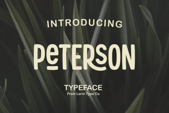 Peterson: A Typeface with Three Distinct Personalities
