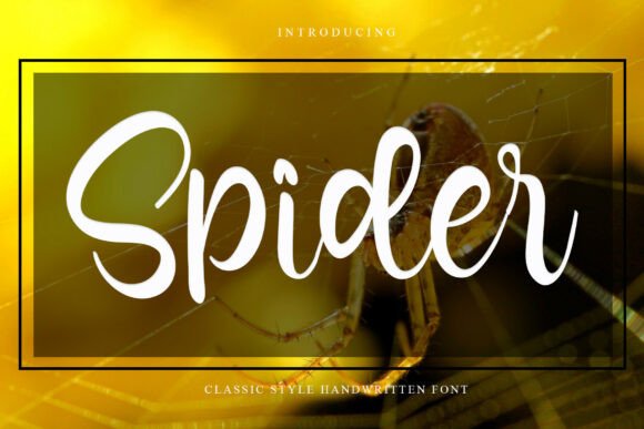 Spider Font: The Elegant Handwritten Typeface for Your Creative Projects