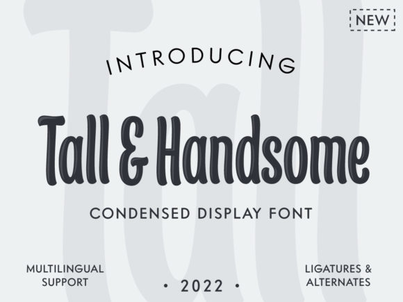 Tall & Handsome: The Display Font for Confident Branding